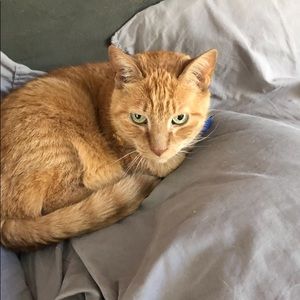 Meet your Posher, Meg